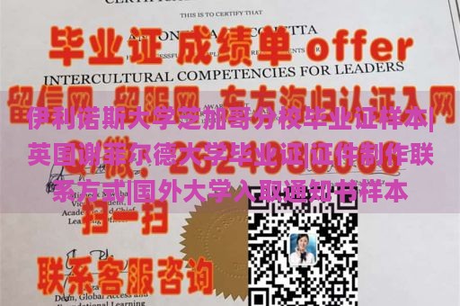 伊利诺斯大学芝加哥分校毕业证样本|英国谢菲尔德大学毕业证|证件制作联系方式|国外大学入取通知书样本