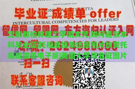 定制都柏林理工学院文凭|如何造假本科毕业证|托福成绩单纸质照片欣赏托福成绩单电子版|美国大学毕业证图片