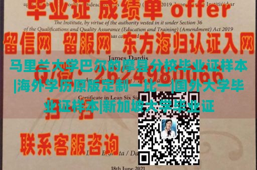 马里兰大学巴尔的摩县分校毕业证样本|海外学历原版定制一比一|国外大学毕业证样本|新加坡大学毕业证