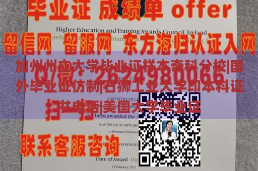 加州州立大学毕业证样本奇科分校|国外毕业证仿制|石狮工业大学印本科证书电话|美国大学毕业证